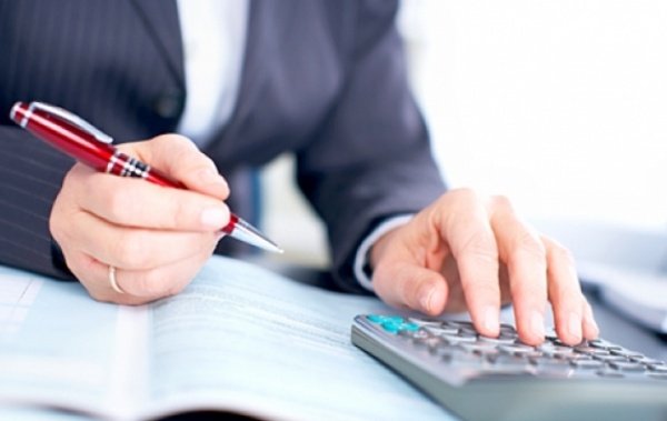 Новини Васильків