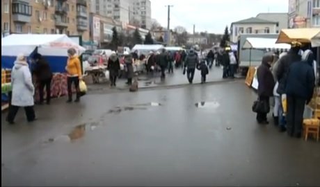 Купуй більше - плати менше. У Василькові пройшов ярмарок сільгосппродукції