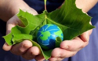 Новини Васильків