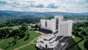 новини Васильков