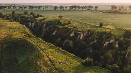 Васильківські Карпати