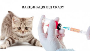 Щеплення тварин від сказу в Василькові
