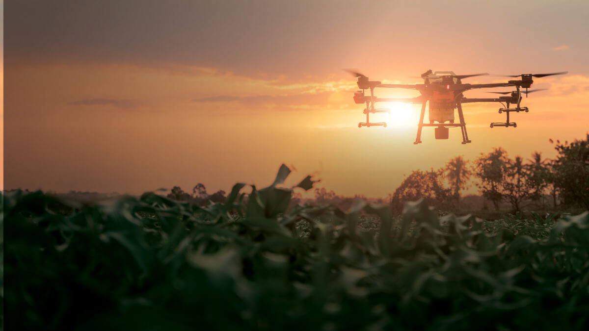 новини Васильків