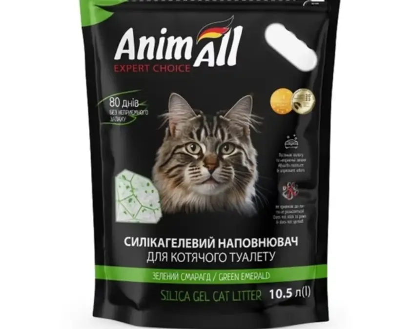 новини Васильків