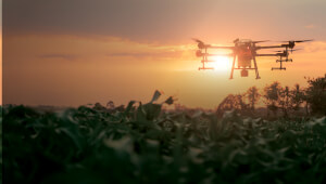 Гербициды сплошного действия: надежный контроль сорняков на больших площадях