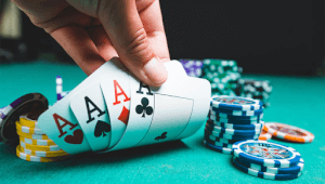 новини Васильков