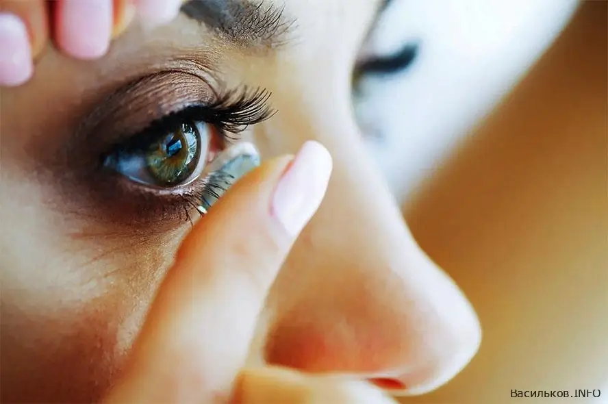 новини Васильків