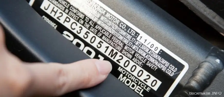 новини Васильків