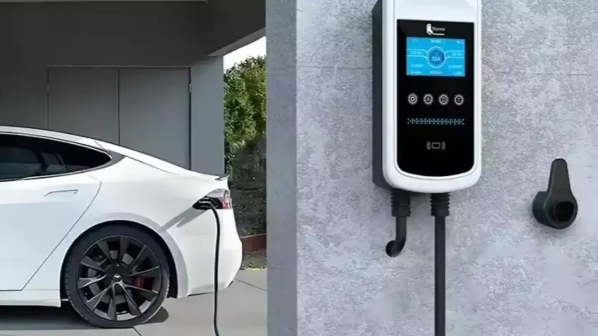 новини Васильків