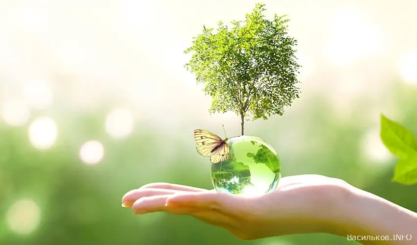 новини Васильків