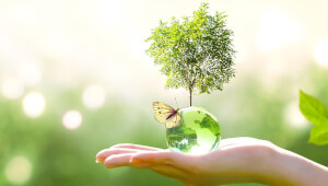 Еко-альтернативи у побуті: що справді зручно, а що - міф