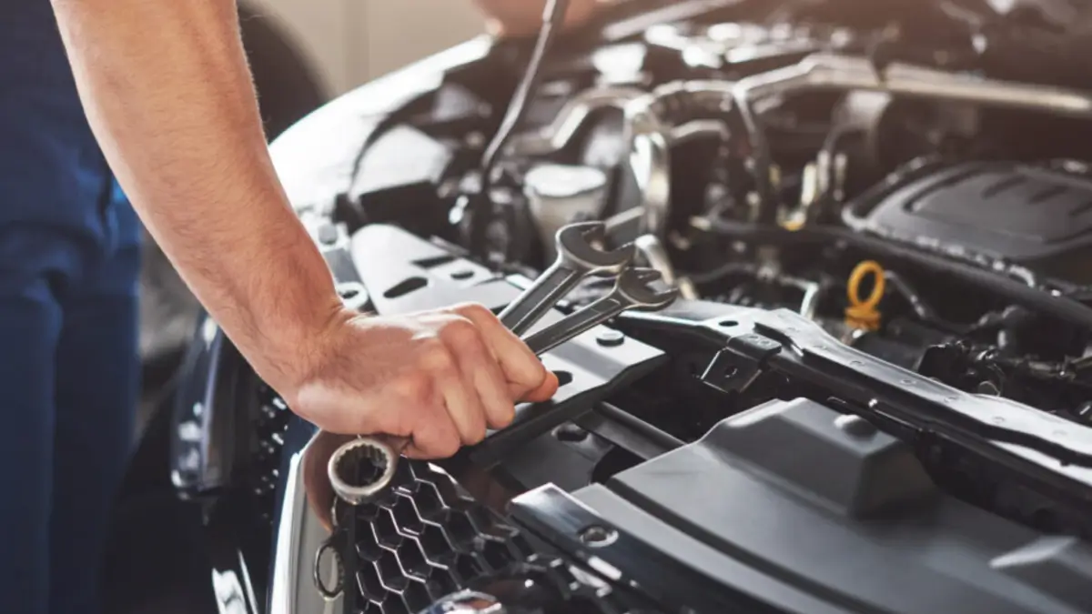 новини Васильків