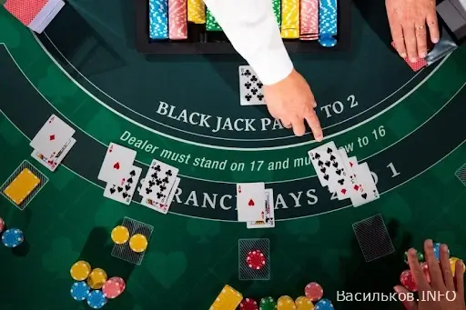 новини Васильків