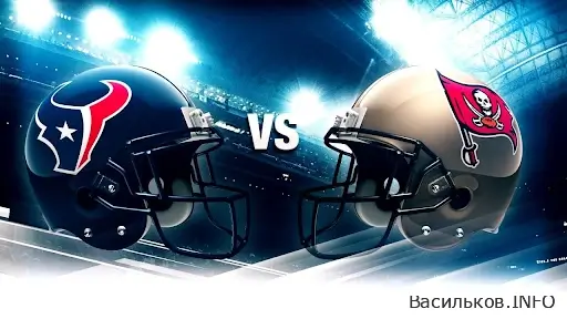 новини Васильків