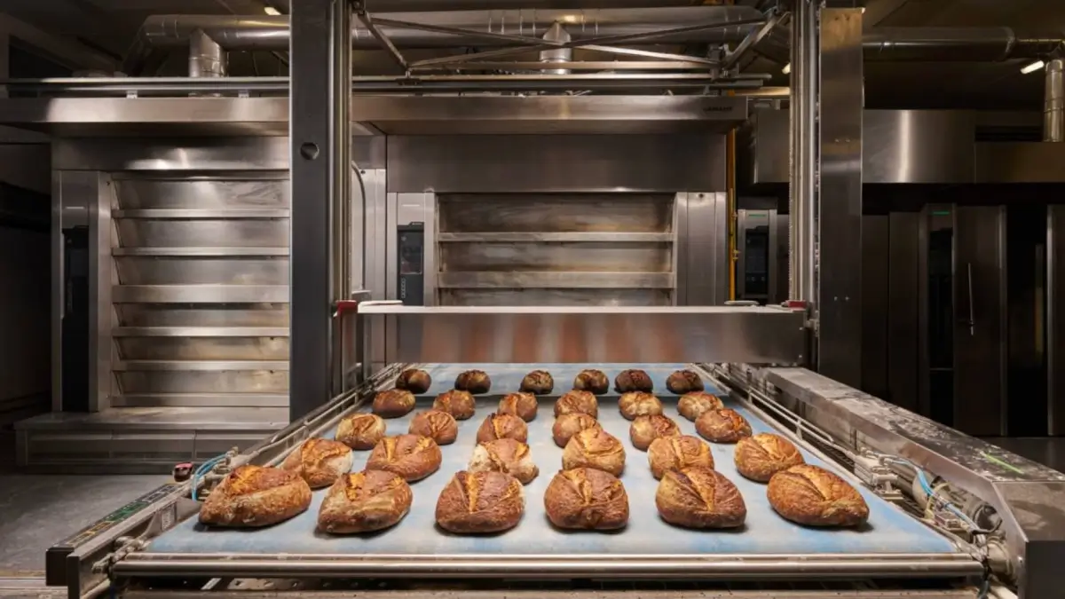 новини Васильків