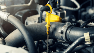 новини Васильков