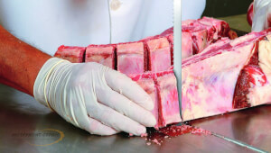 новини Васильков