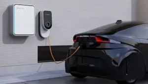 новини Васильков