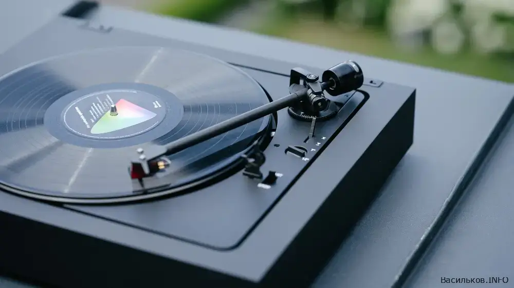 новини Васильків