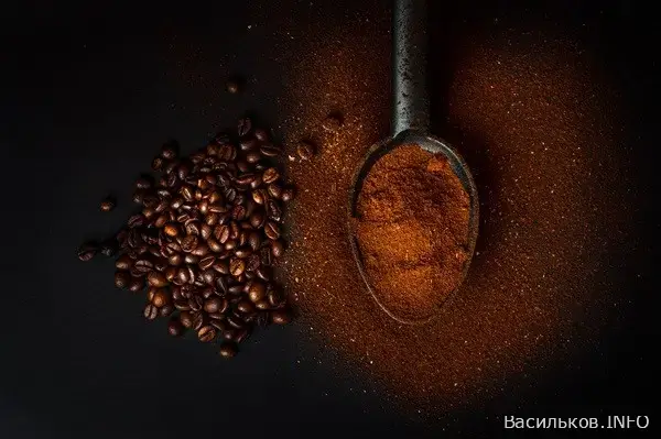 новини Васильків