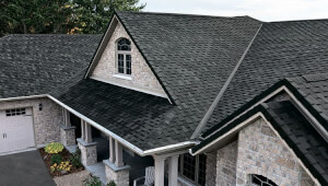 Бітумна черепиця набирає популярность в України в 2026 році