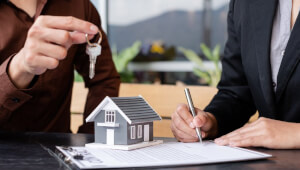 новини Васильков