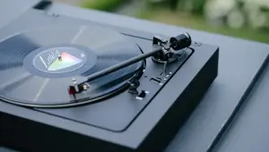 новини Васильков