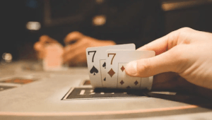 новини Васильков